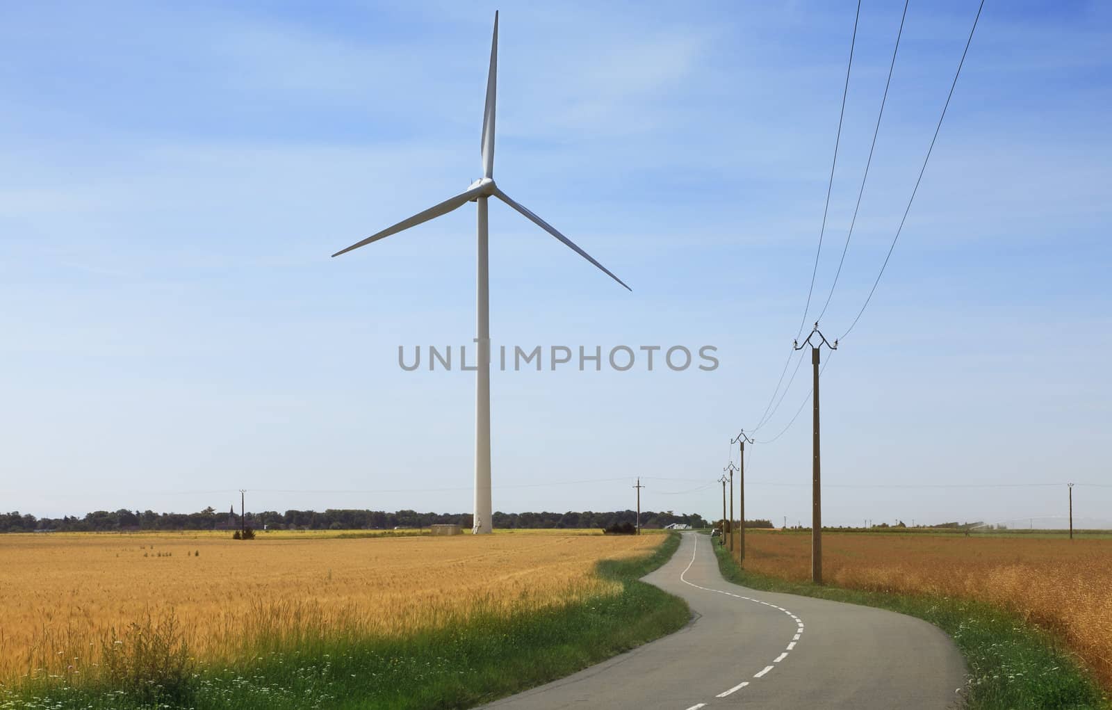 Image of a road in a field area with a row of electricity poles at the right side and a wind turbine at the left side.