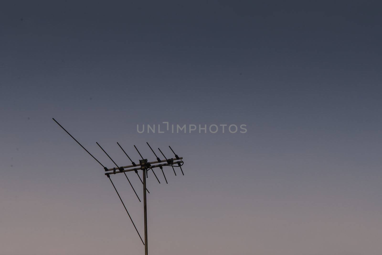 Antenna by Premmystock