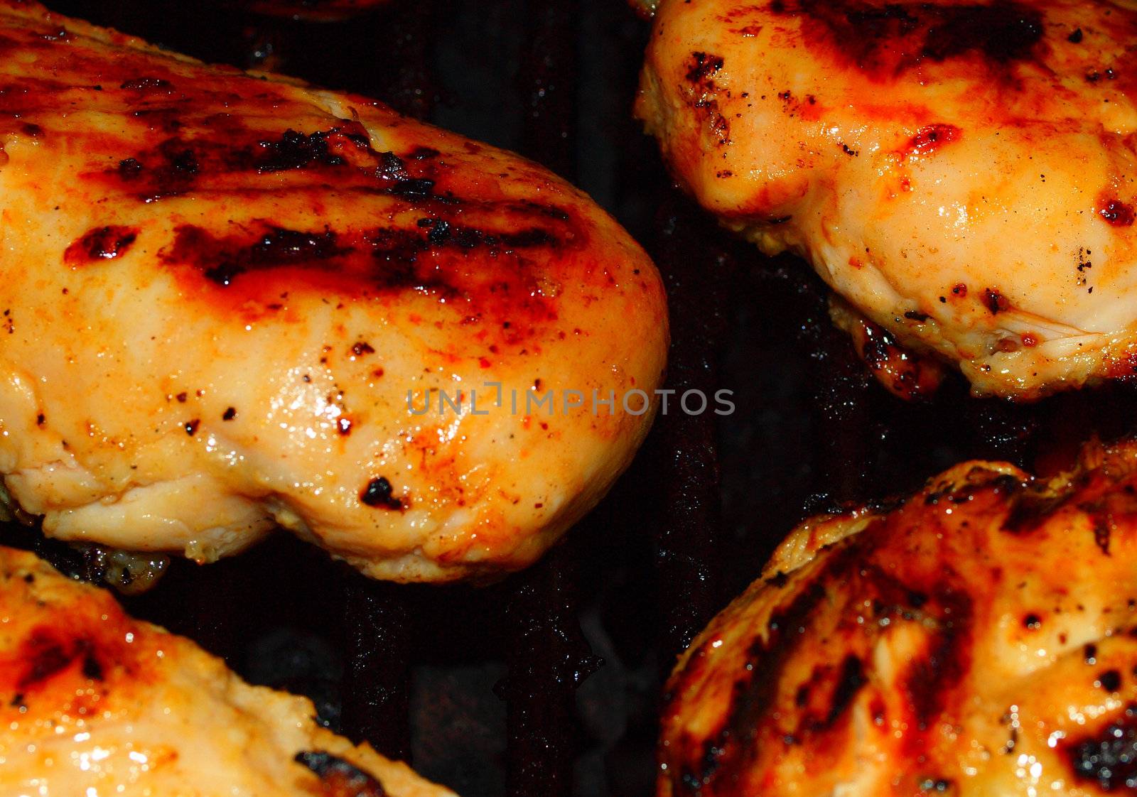 Fresh Grilled Chicken Breasts on the Barbecue