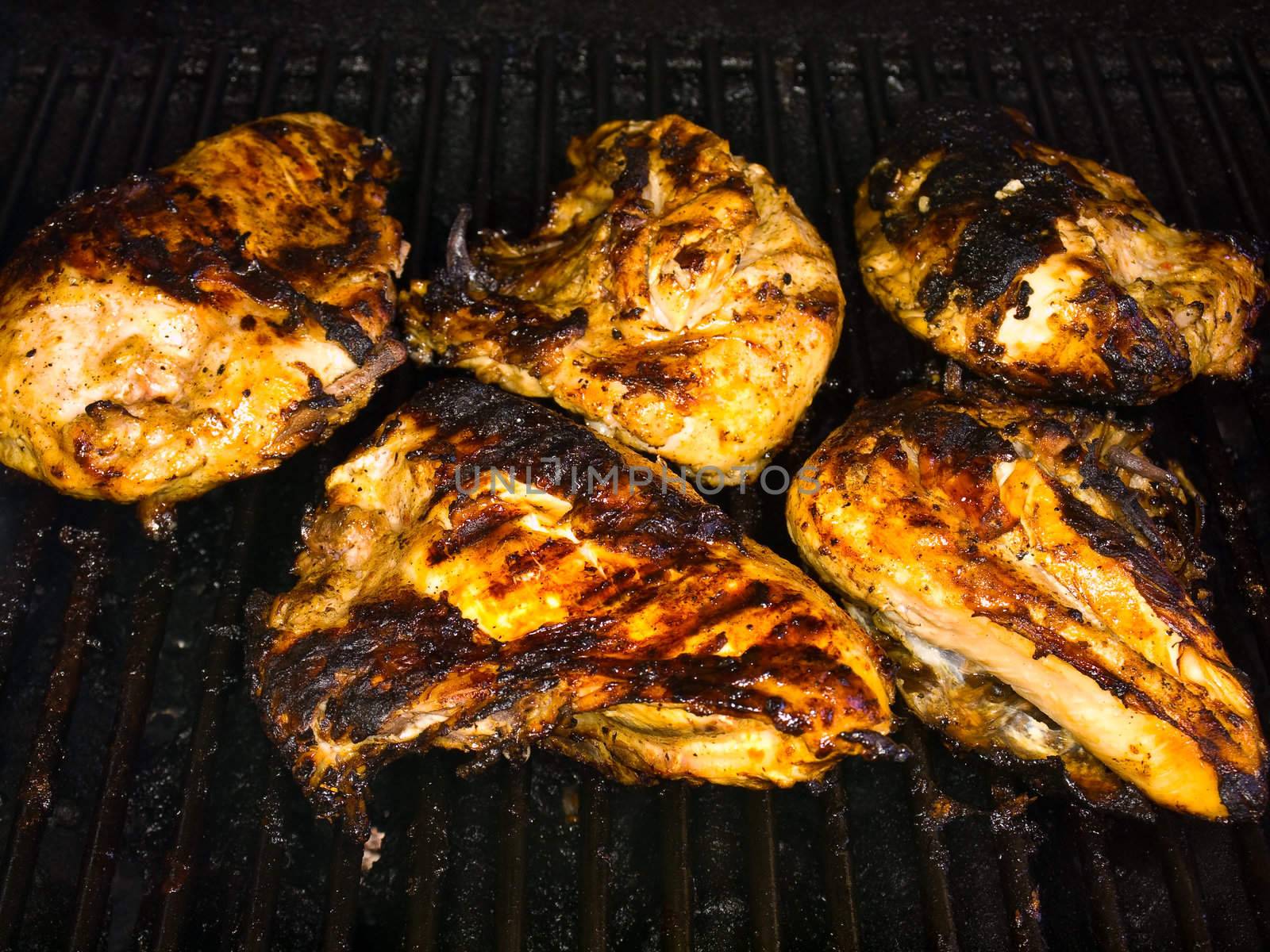 Fresh Grilled Chicken Breasts on the Barbecue