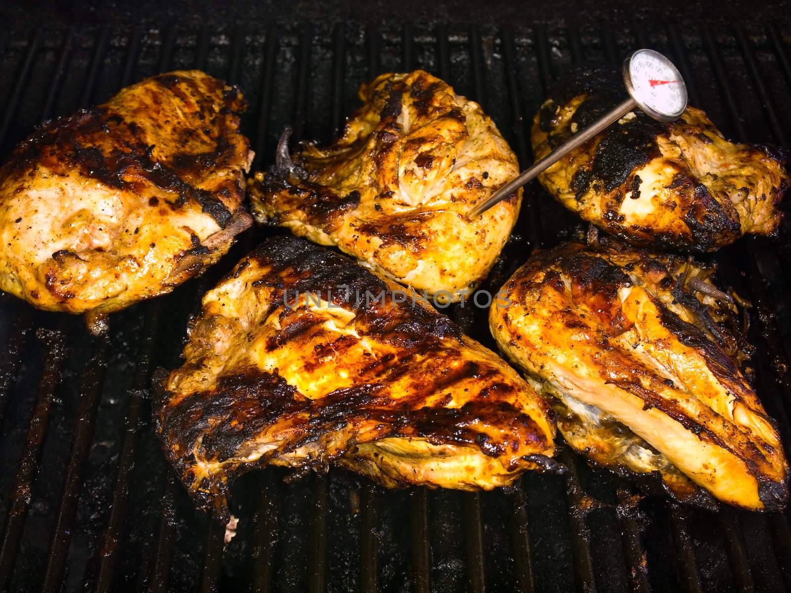 Fresh Grilled Chicken Breasts on the Barbecue