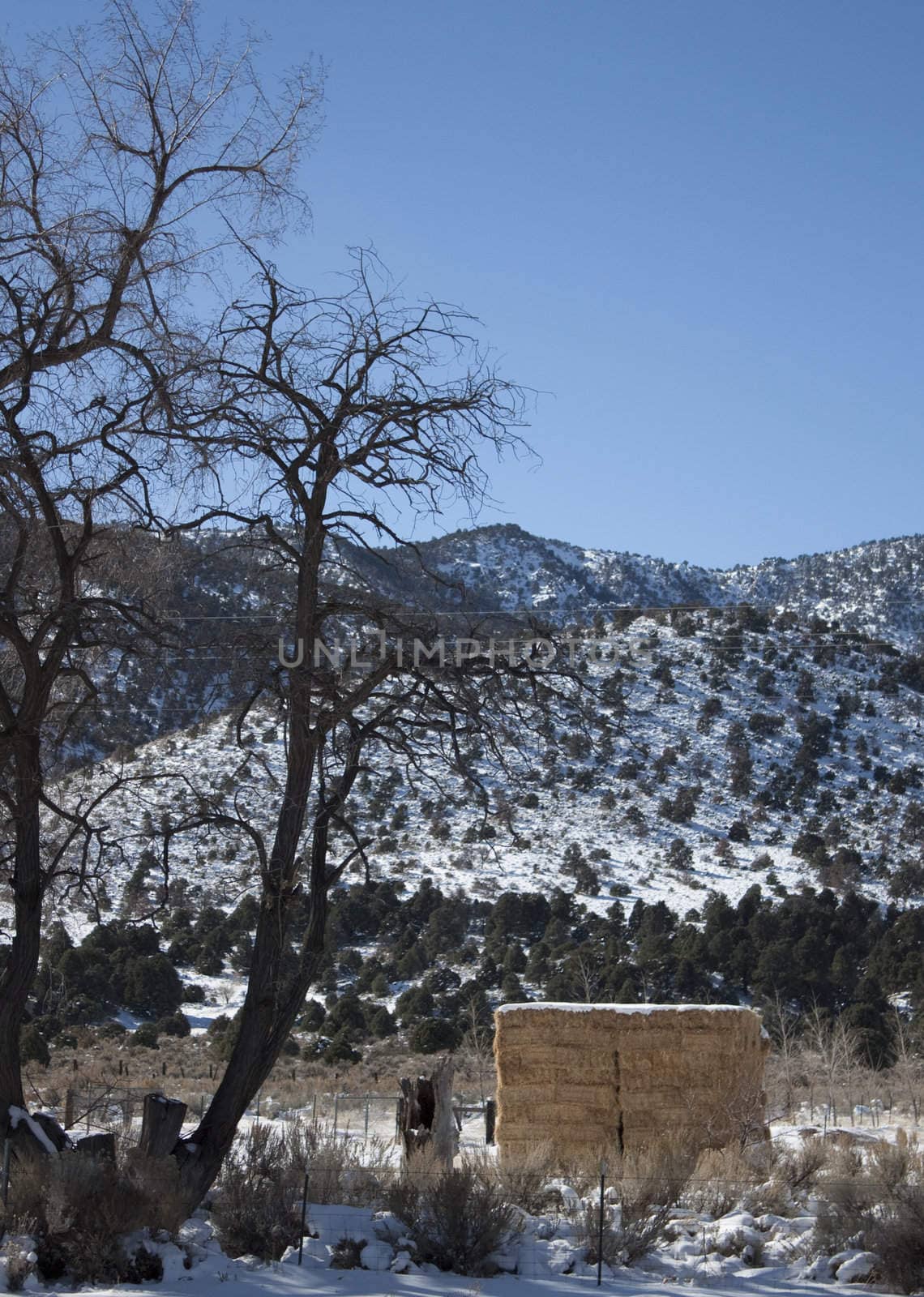 A high desert mountain range with snow on it.farm country