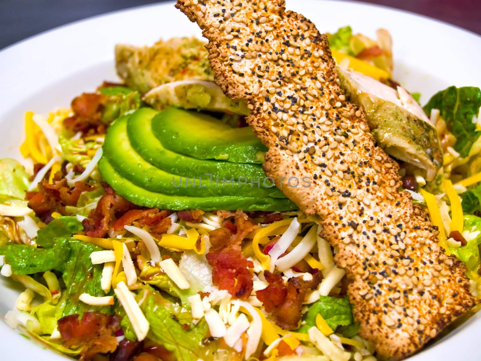 Fresh Southwestern Style Salad with Avocado Slices and Seeded Cracker