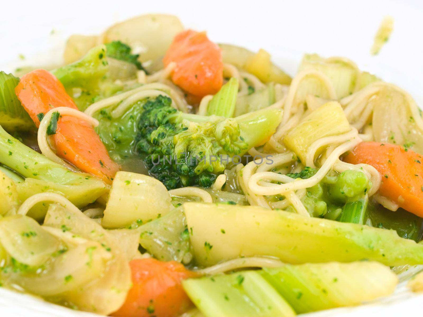 Stir Fried Vegetables and Noodles in a Light Sauce