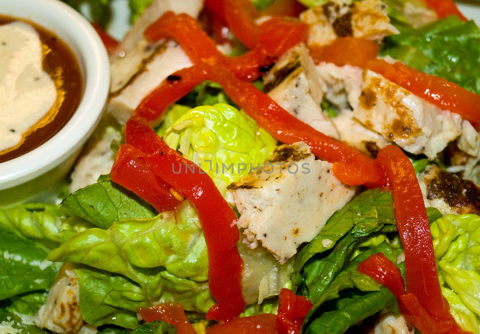 Healthy Salad with Lettuce, Red Peppers, and Chicken