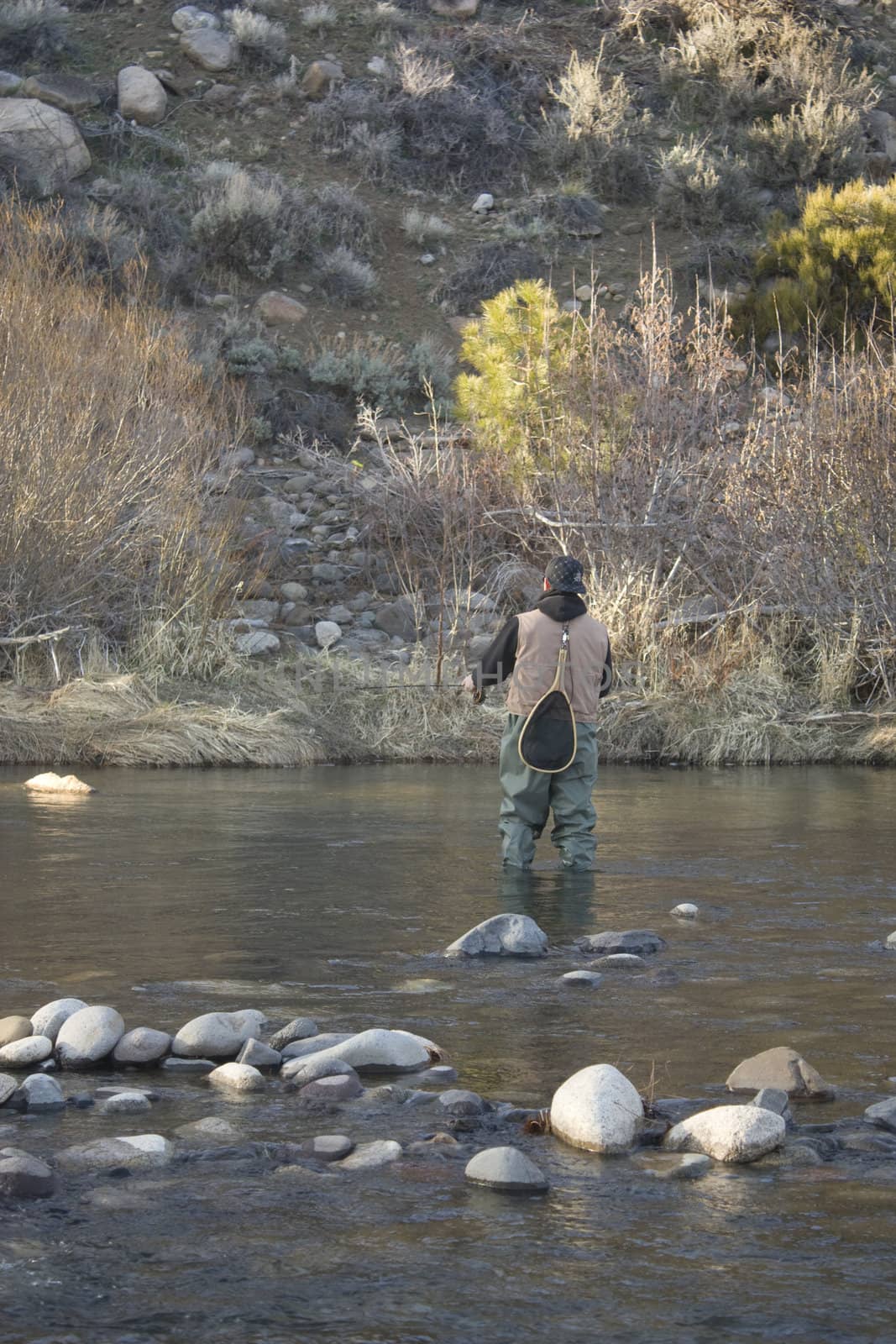 Fly fishing on the Truckee river in Verdi Nevada