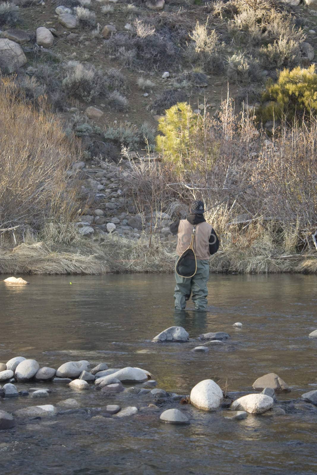 Fly fishing on the Truckee river in Verdi Nevada