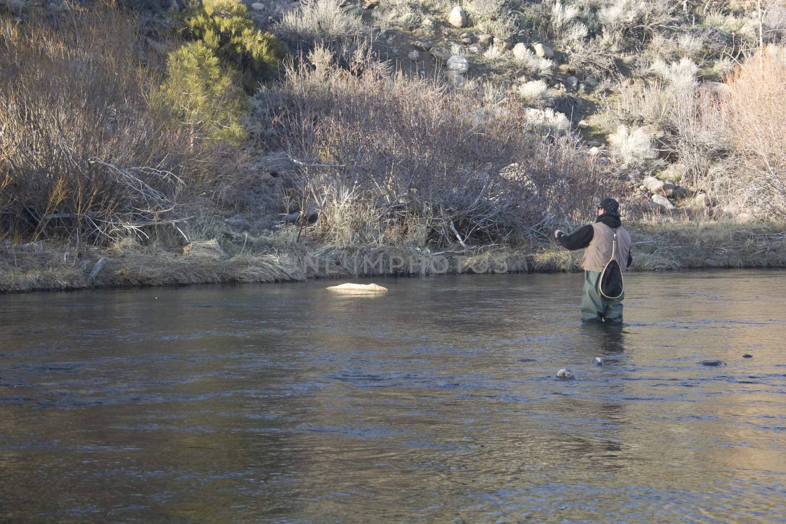 Fly fishing on the Truckee river in Verdi Nevada