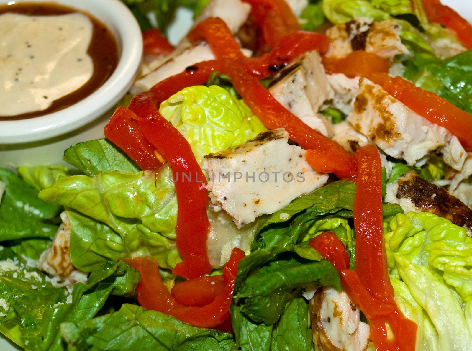 Healthy Salad with Lettuce, Red Peppers, and Chicken