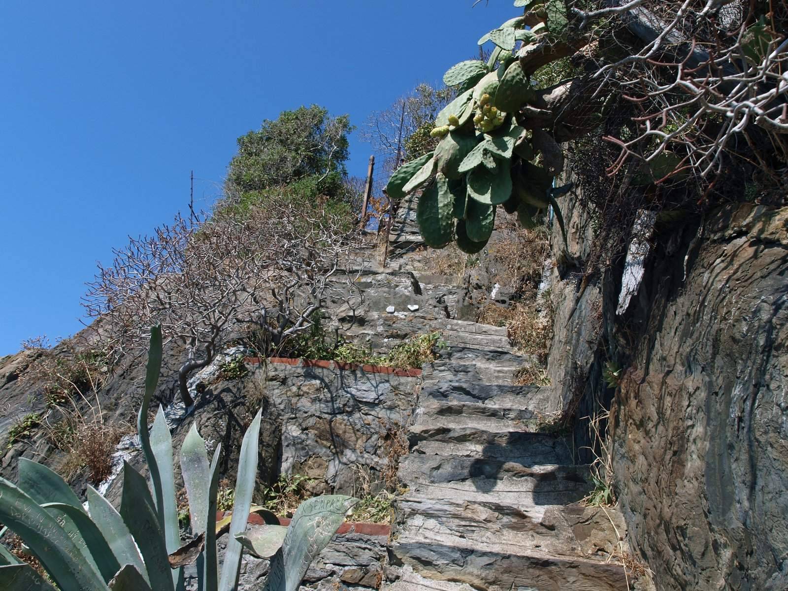 "Via dell amor" of Cinque Terre - Liguria Italy.Oone from most beautiful in Italy of for pedestrians paths for lovers ne from most beautiful in Italy of for pedestrians paths for lovers