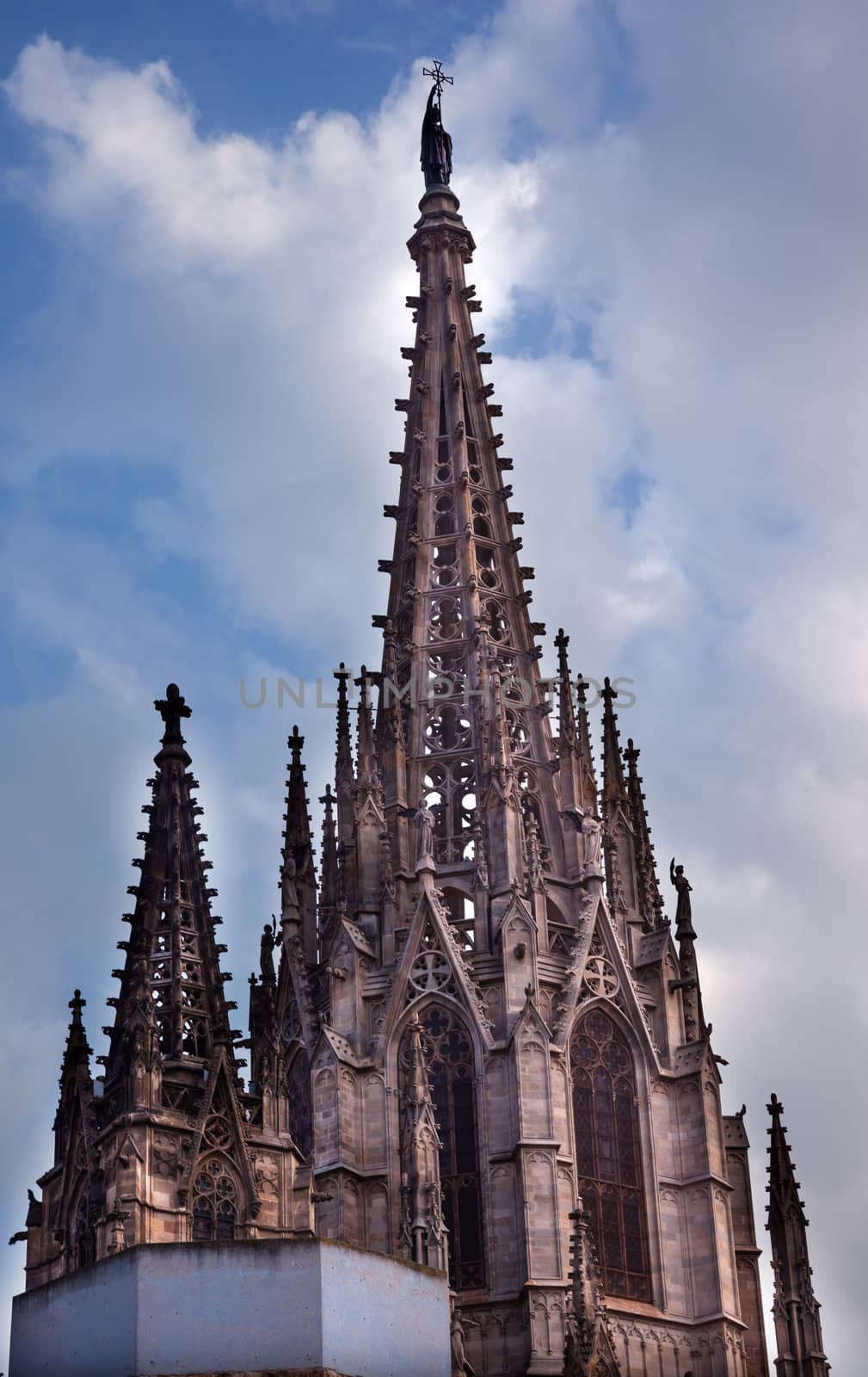 Gothic Catholic Barcelona Cathedral Catalonia Spain by bill_perry