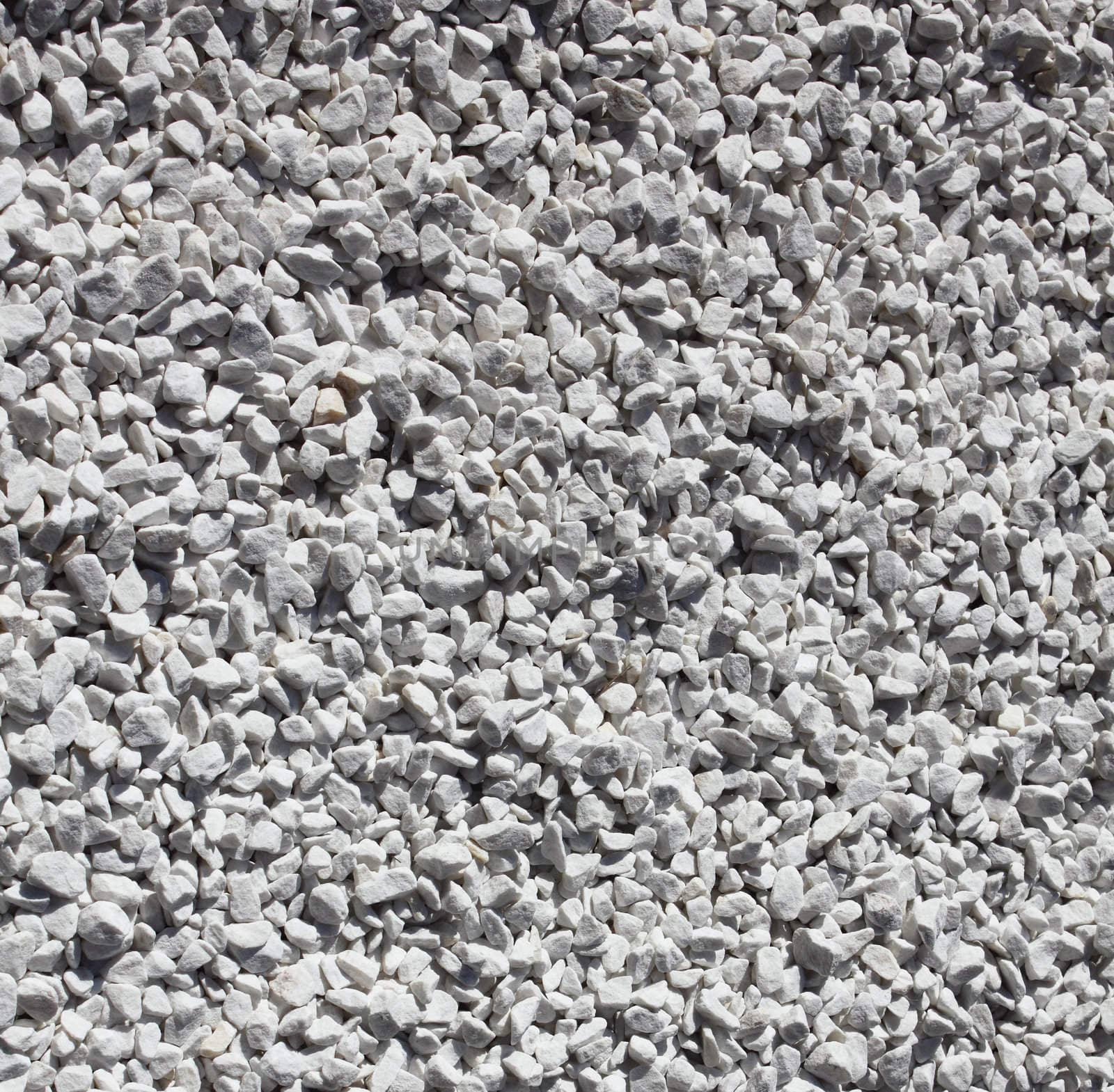 White chip background