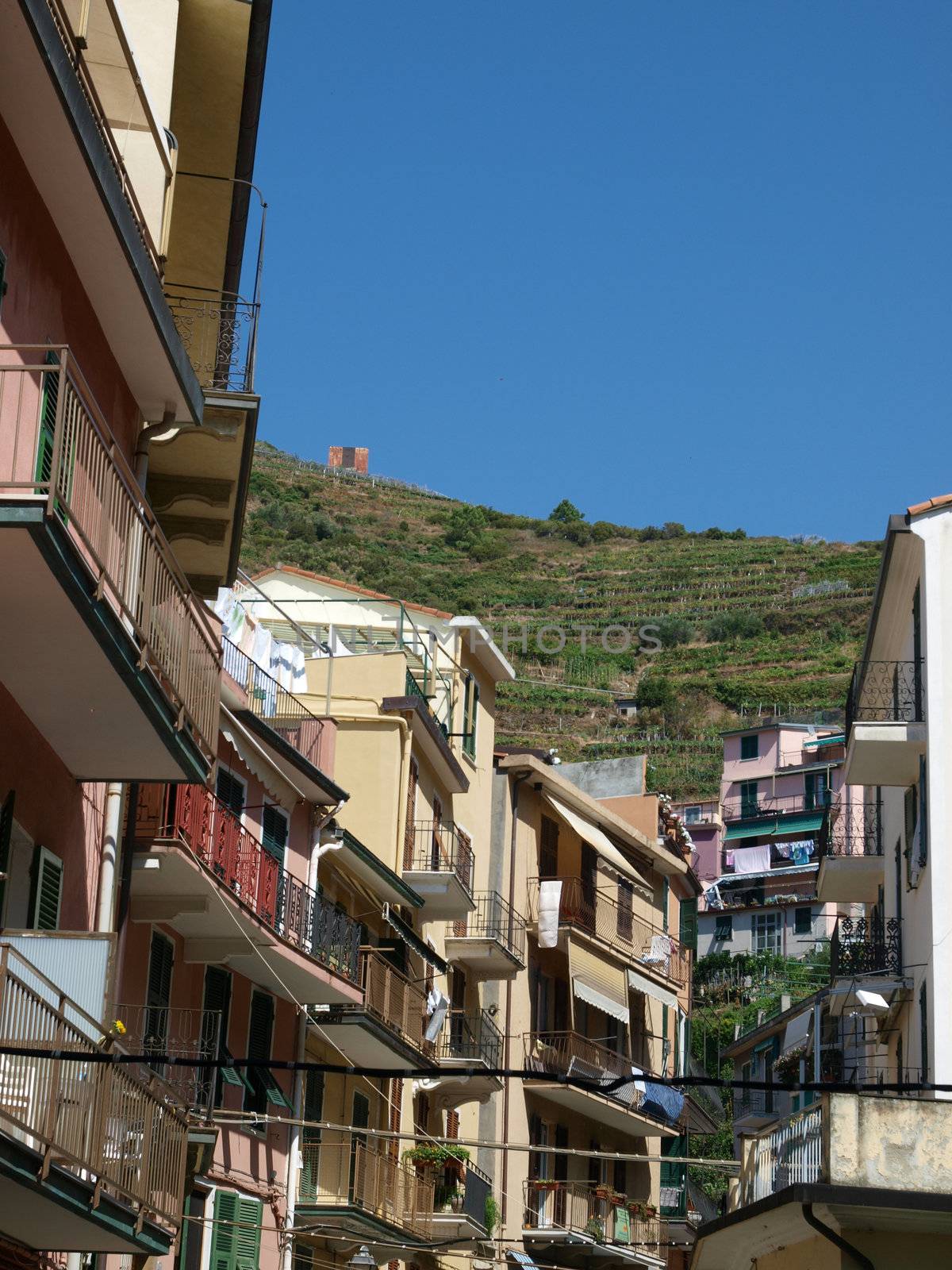 Manarola - one of the cities of Cinque Terre in italy
