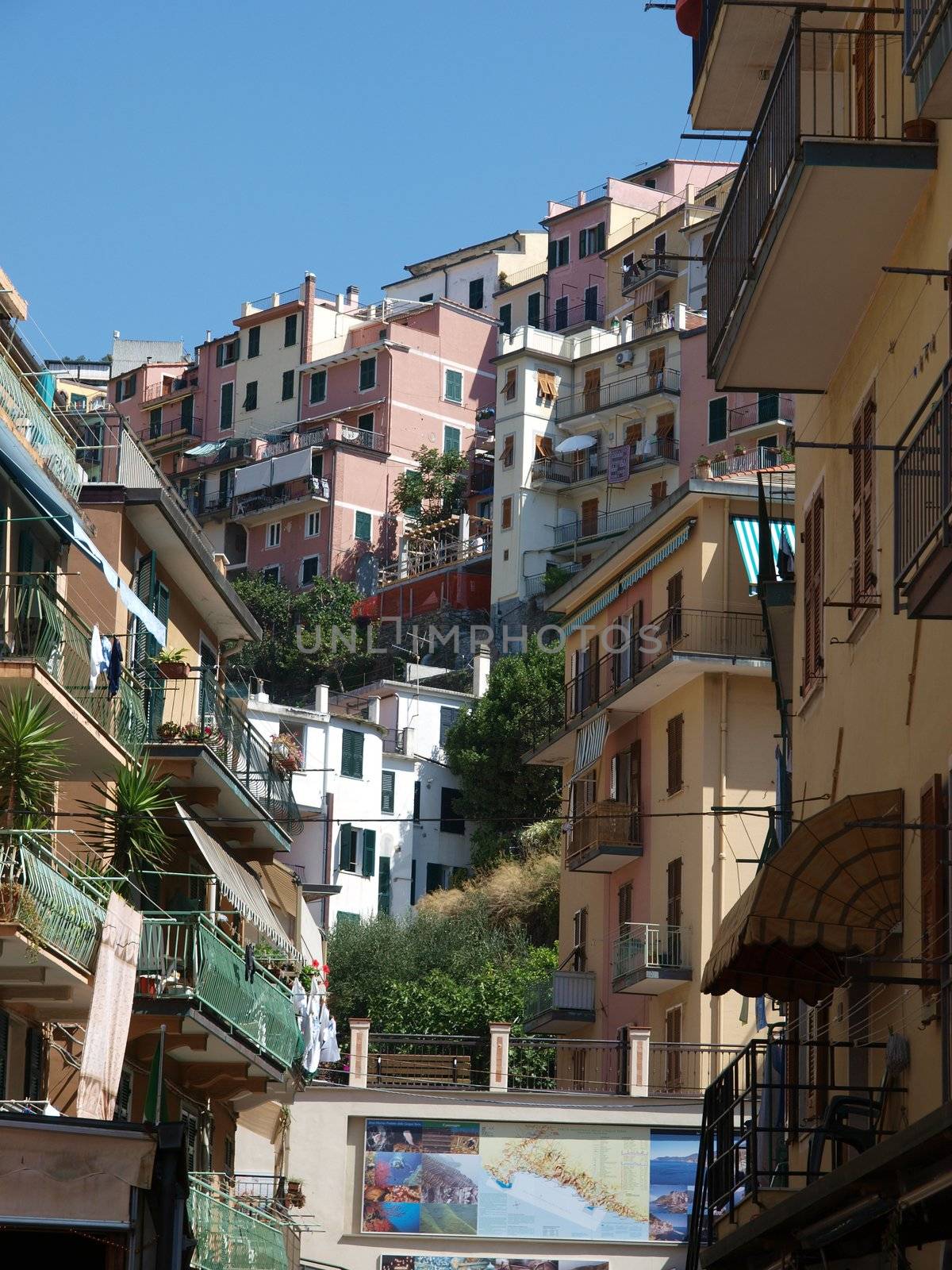 Manarola - one of the cities of Cinque Terre in italy