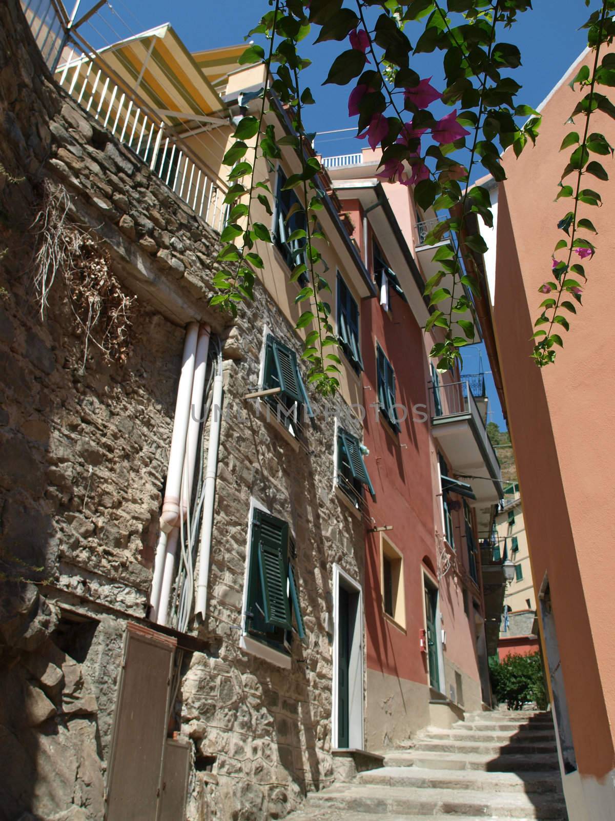 Manarola - one of the cities of Cinque Terre in italy
