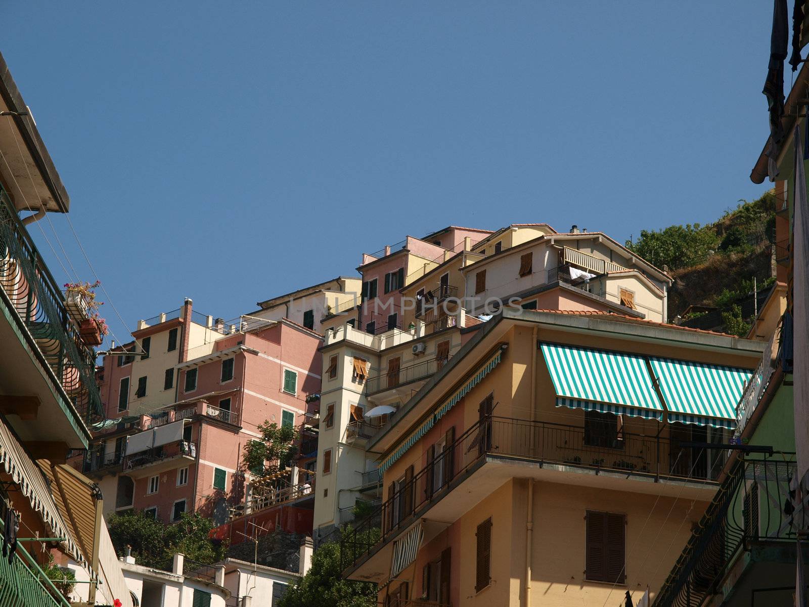 Manarola - one of the cities of Cinque Terre in italy