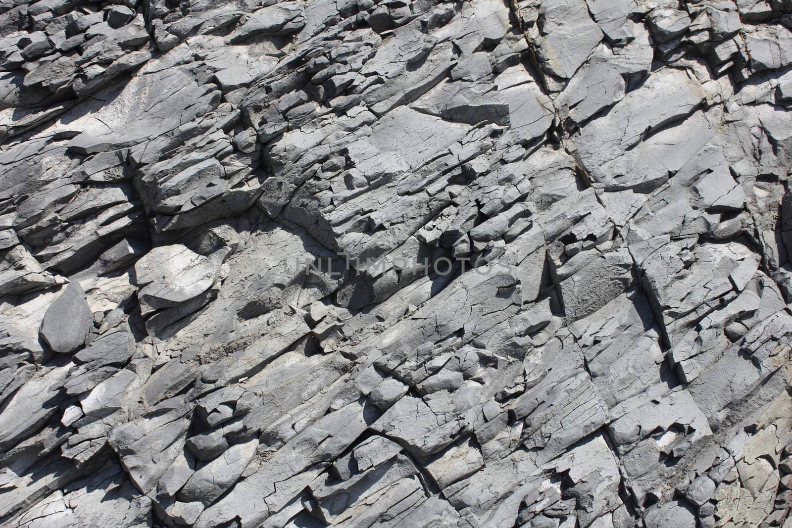 Gray erosed rock on sea coast, stone background.