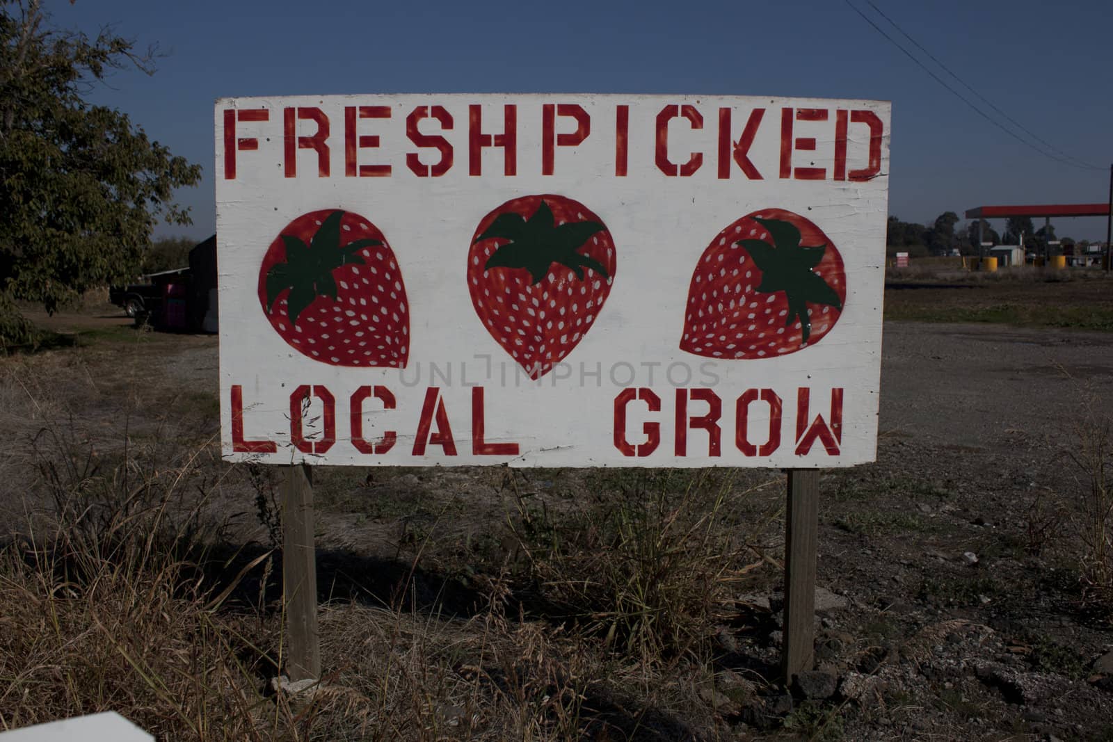 Fresh Picked locally grown strawberry sign 
