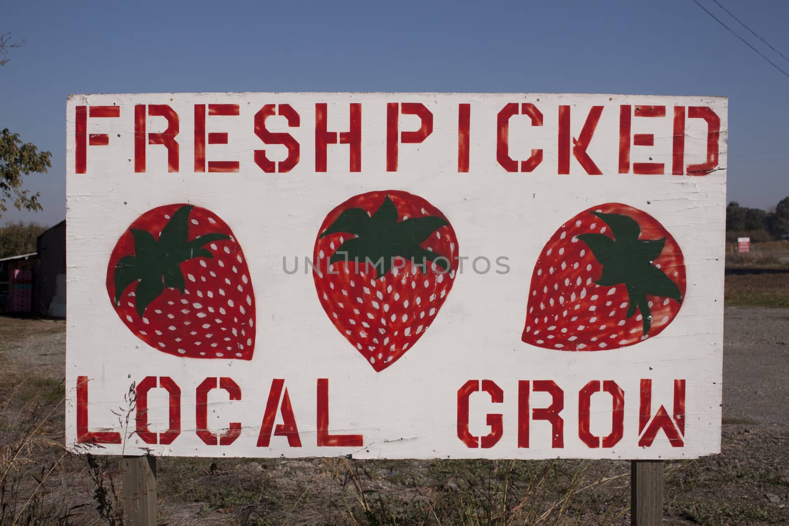 Fresh Picked locally grown strawberry sign 