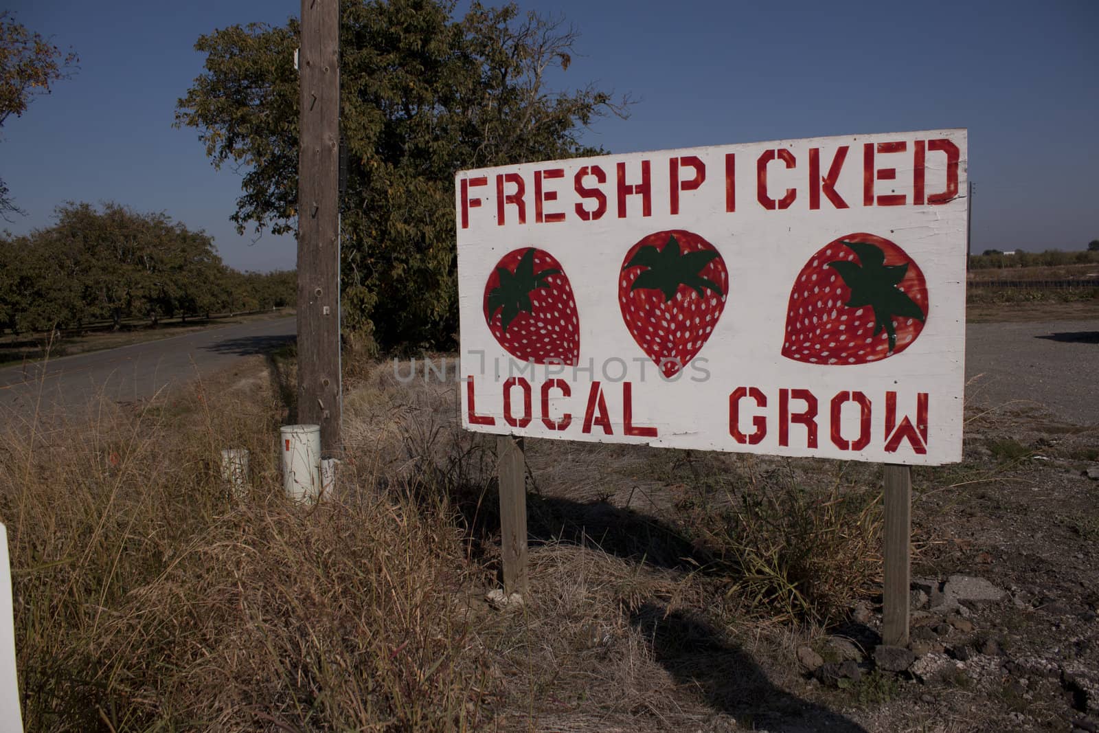 Fresh Picked locally grown strawberry sign 