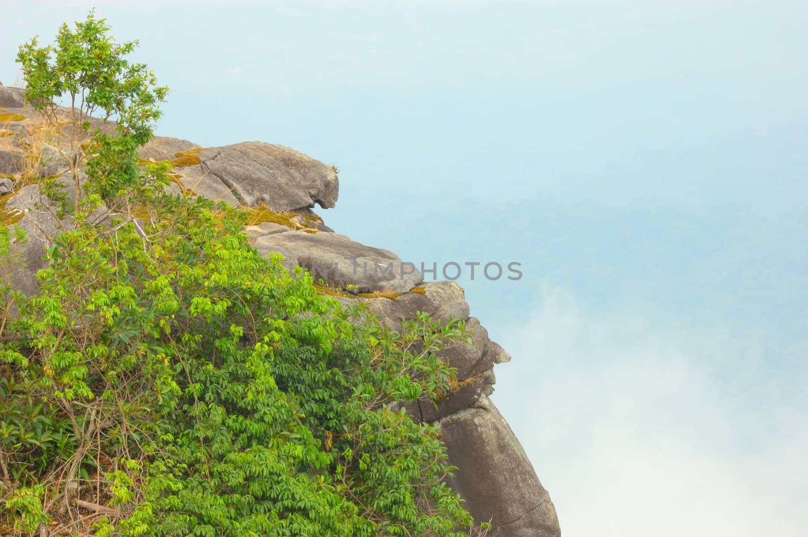 High cliffs in the rainforest. by ngungfoto