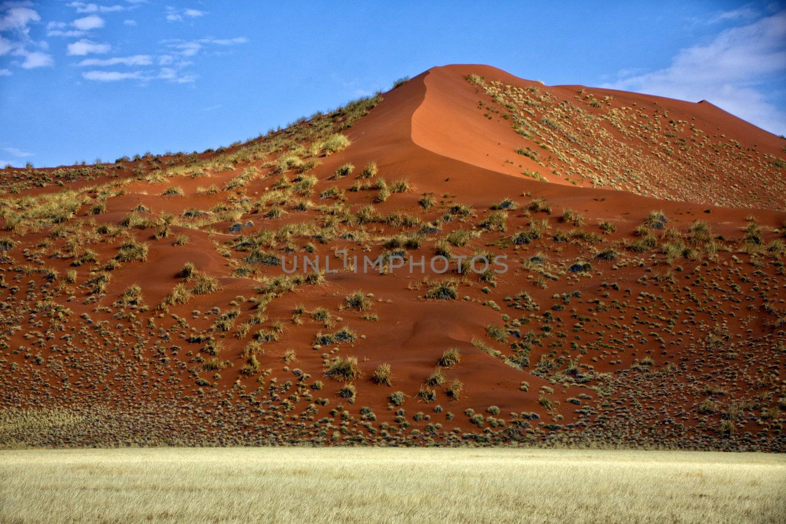 a big orange dune at Sossusvlei Namib Naukluft Park 