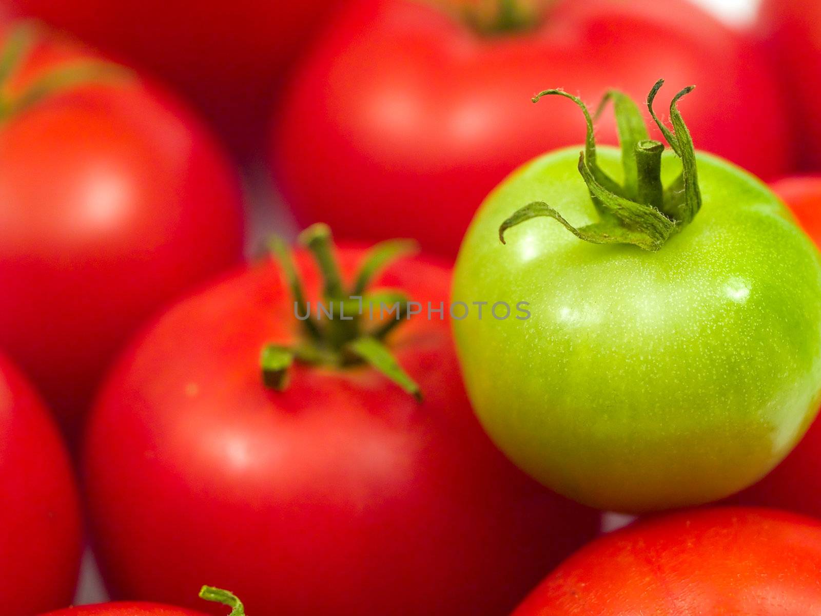 A Background of Red Ripe Tomatoes and One Green Tomato