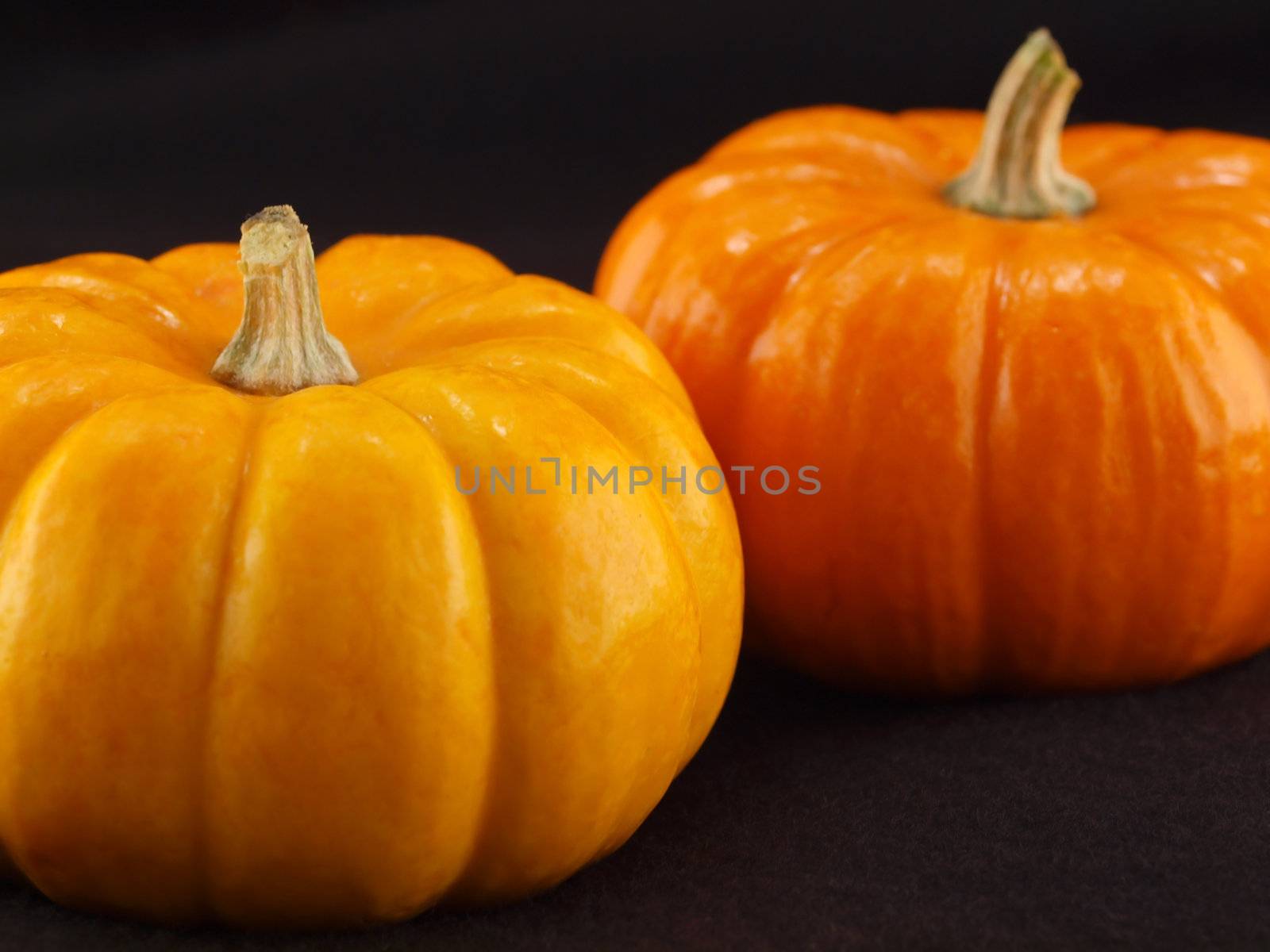 Mini Pumpkins Isolated on a Black Cloth Background