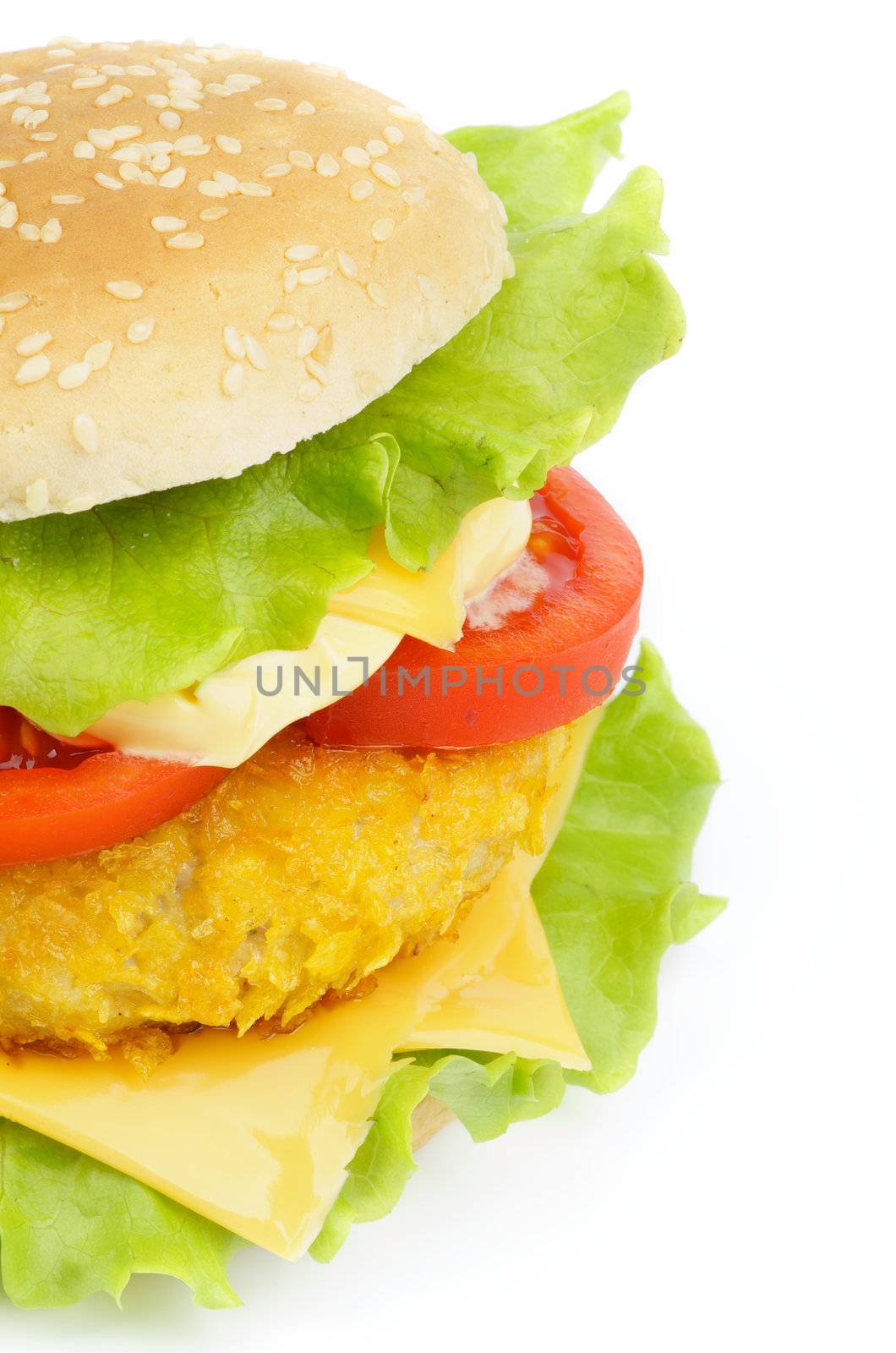 Classic Delicious Sandwich with Breaded Chicken, Lettuce, Tomatoes and Cheese on Sesame Bun cross section on white background