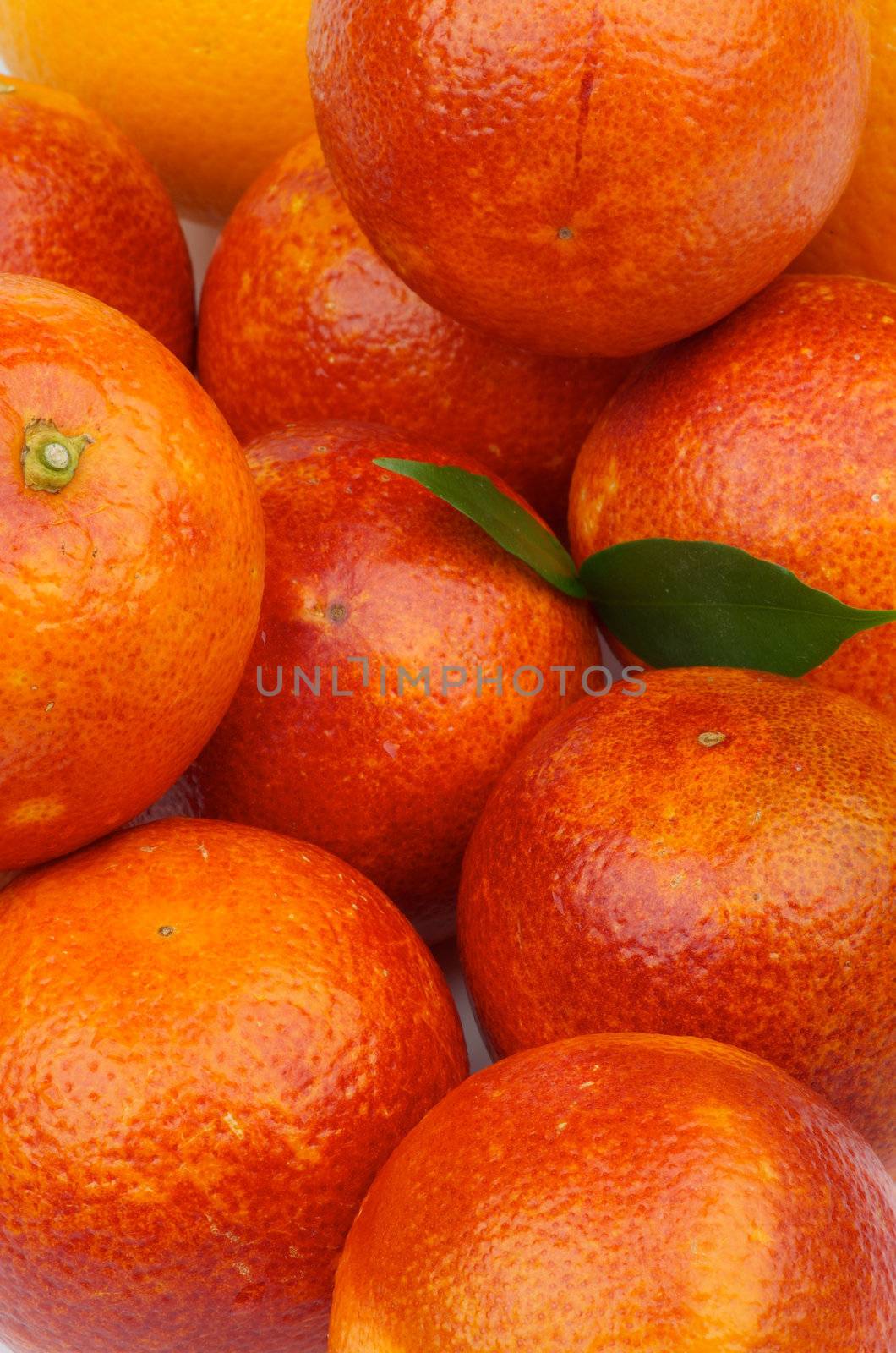 Background of Perfect Blood Oranges with Green Leafs closeup