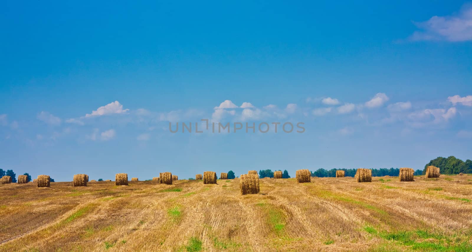 Amazing Golden Hay Bales on a perfect sunny day