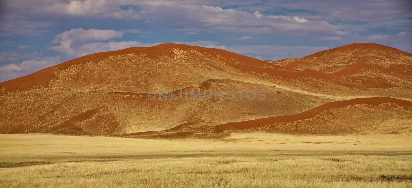 big orange dune at Sossusvlei Namib Naukluft Park 