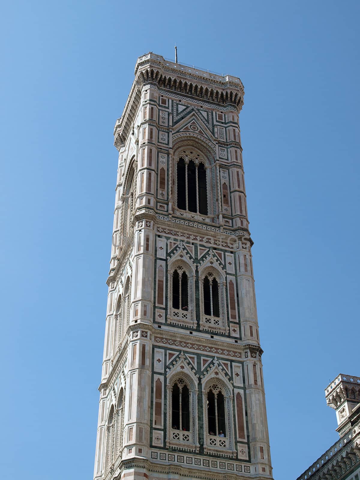 View of the Giotto's bell tower - Florence