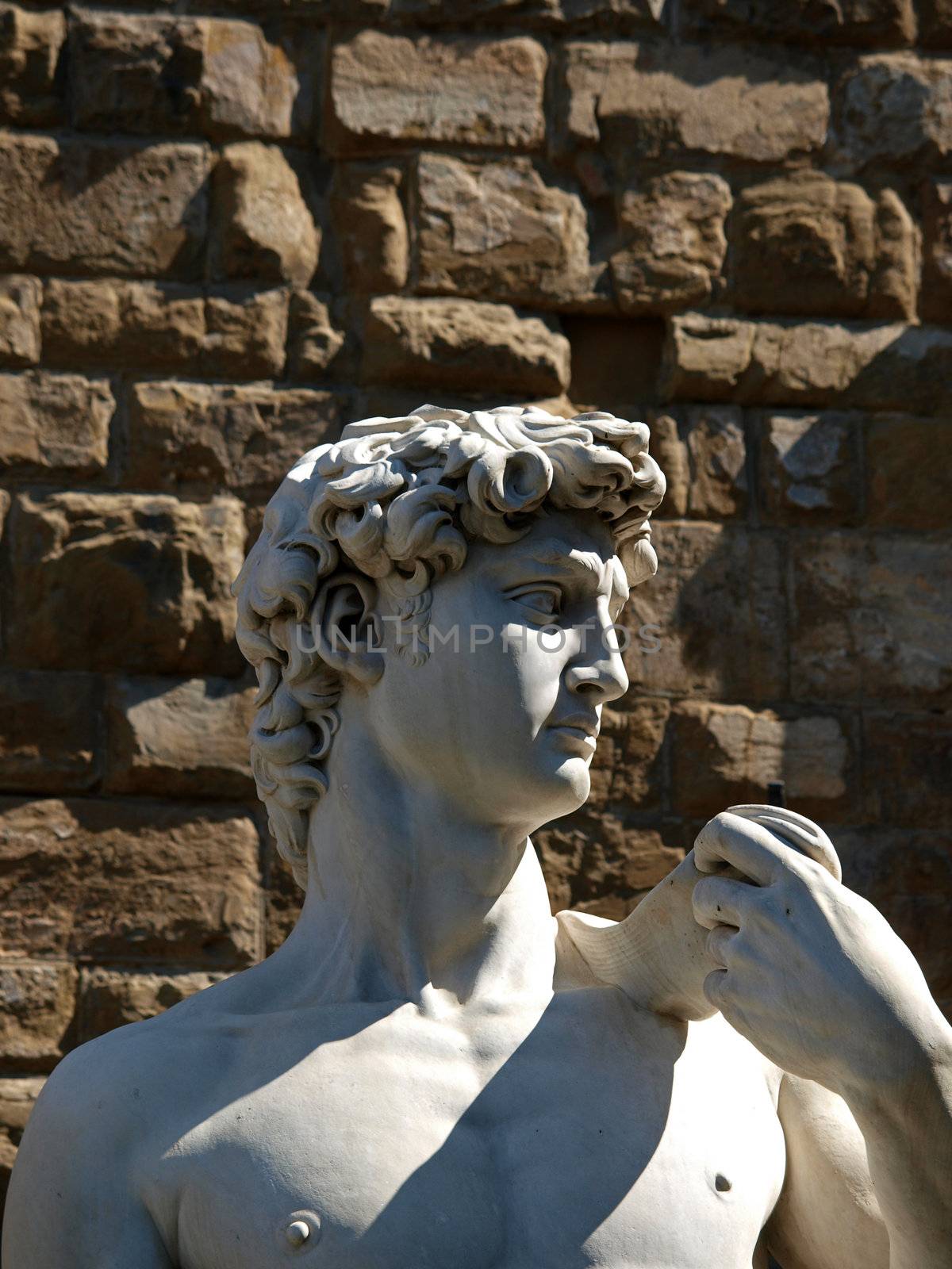 Florence - statue of David by Michaelangelo. A copy of the statue standing in the original location of David, in front of the Palazzo Vecchio in Florence.