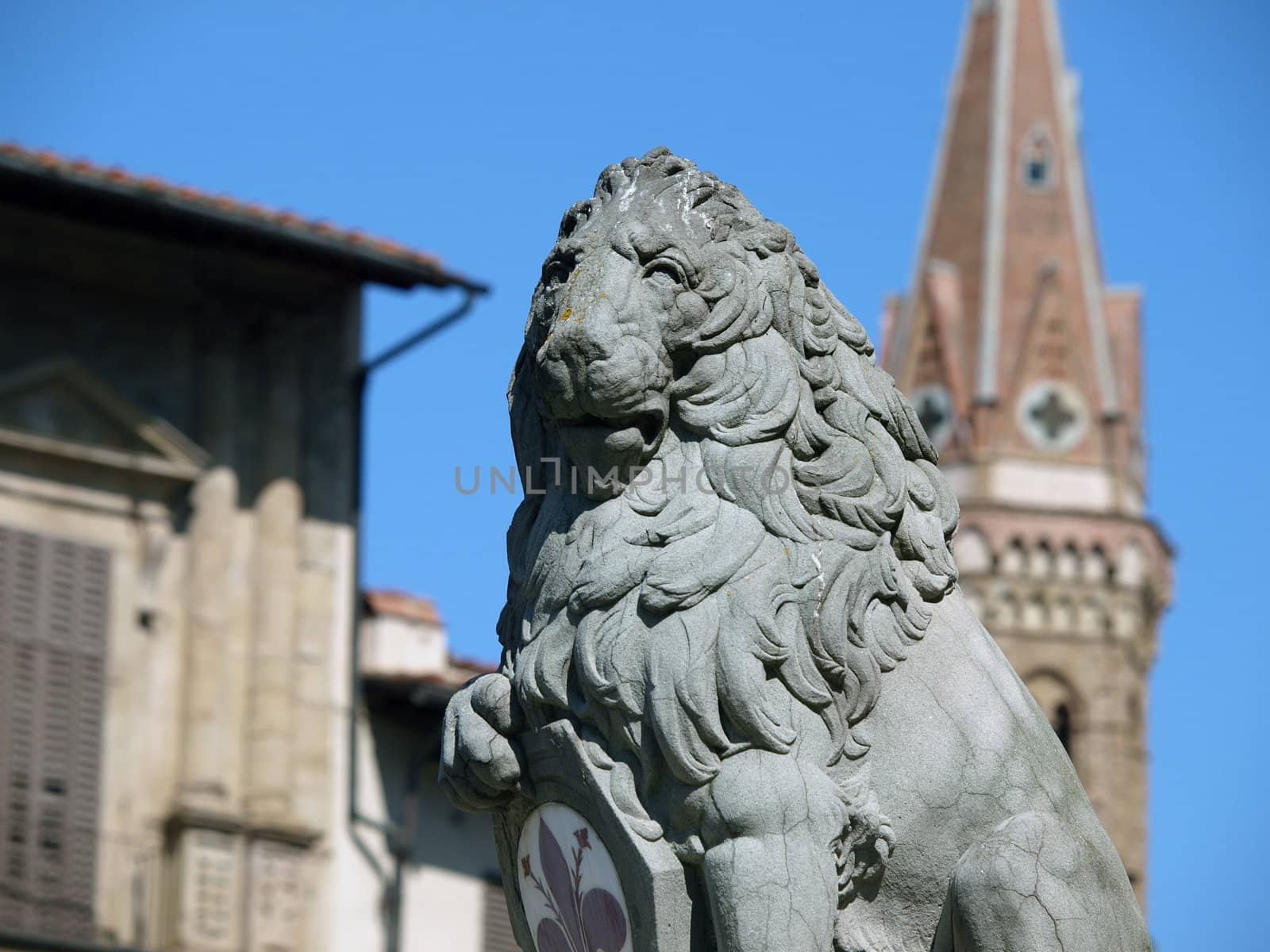 Florence - Lion Marzocco. the lion called marzocco created by donatello in the 15th century is a symbol of the florentine army in the middle age. located in piazza della signoria in front of the palazzo vecchio in florence italy
