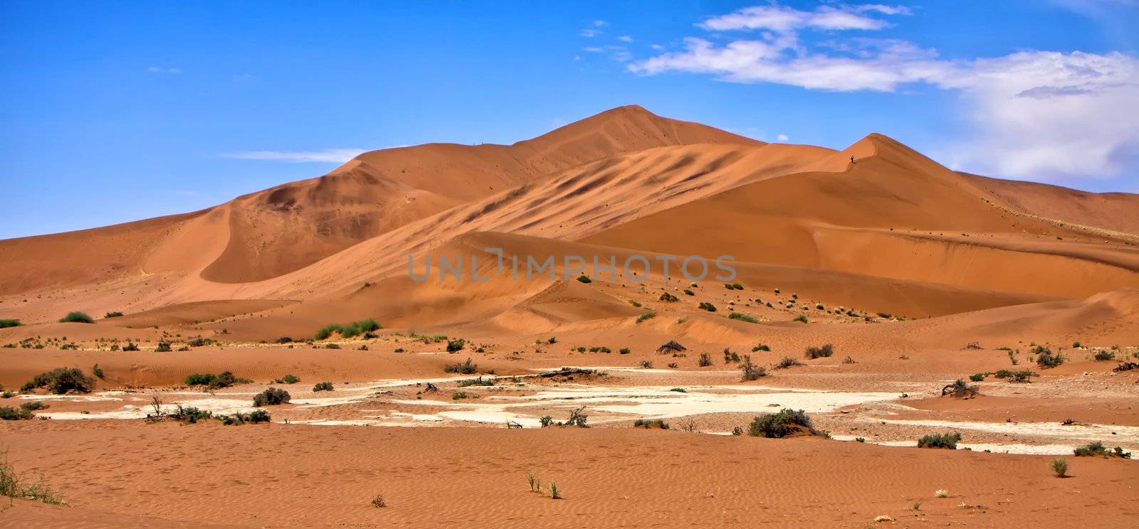 large dune in the namib naukluft park namibia africa near sesriem