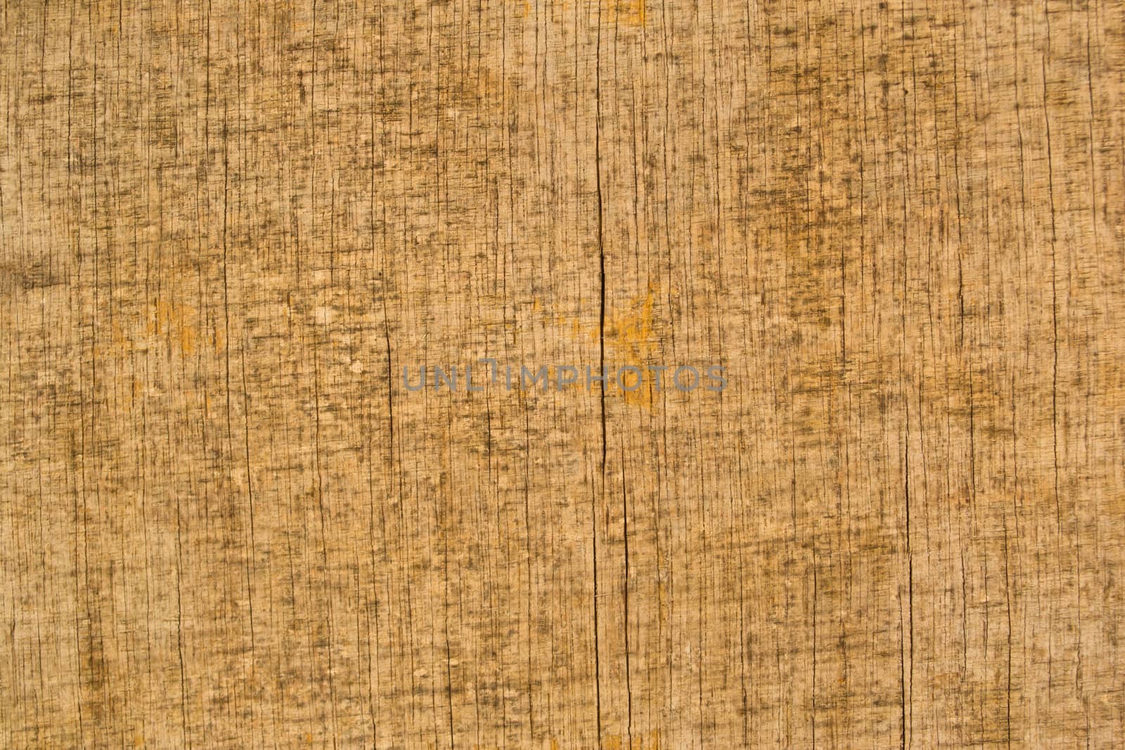 Wood background