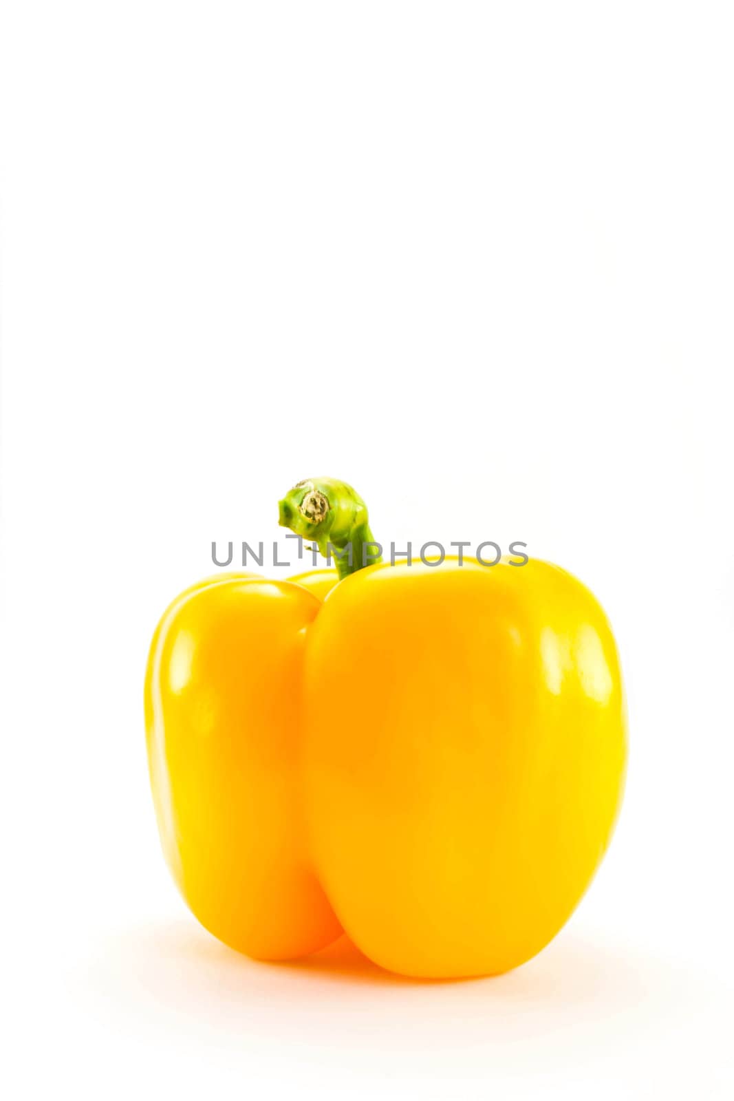 Bell pepper on a white background