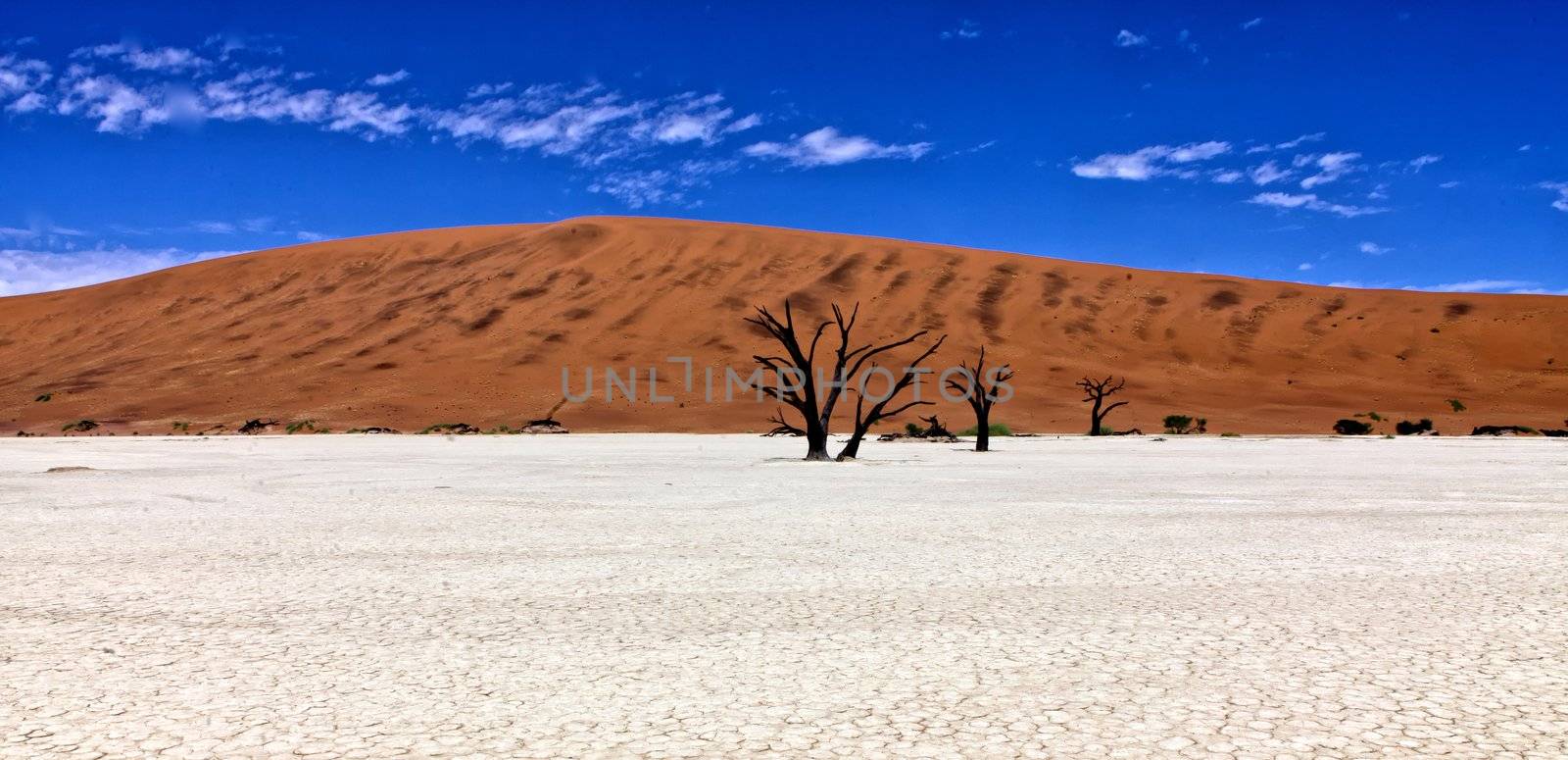 panoramic of dead trees in front of a orange dune in deadvlei namib naukluft national park namibia