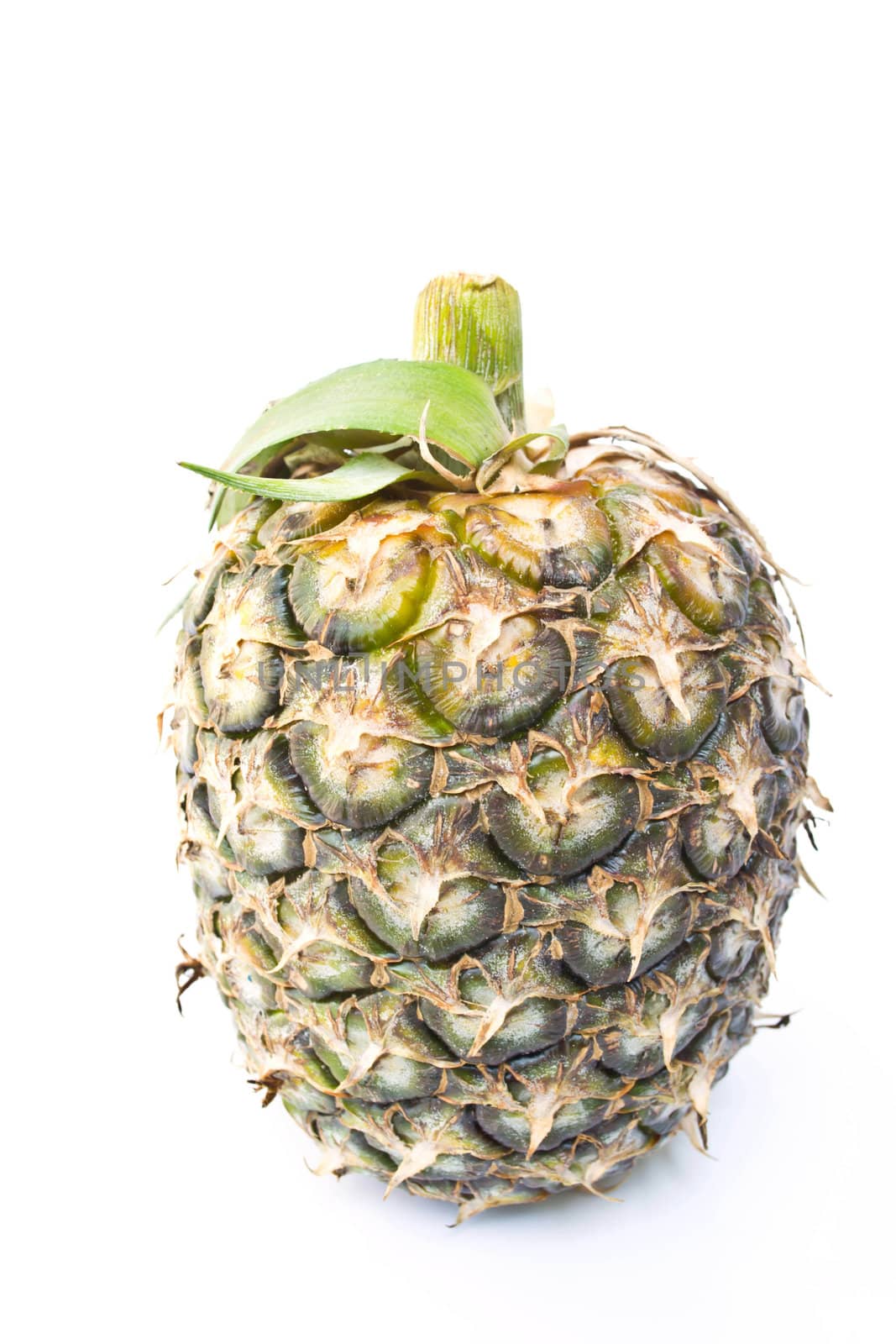 Pineapple on a white background