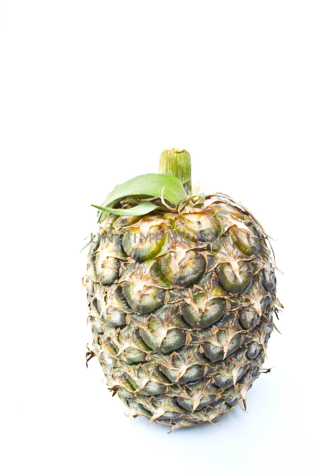 Pineapple on a white background