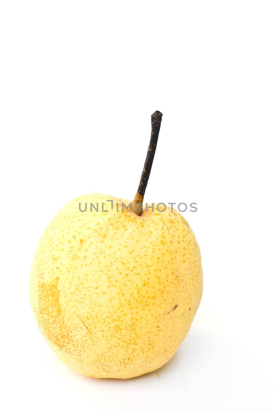 pear on a white background