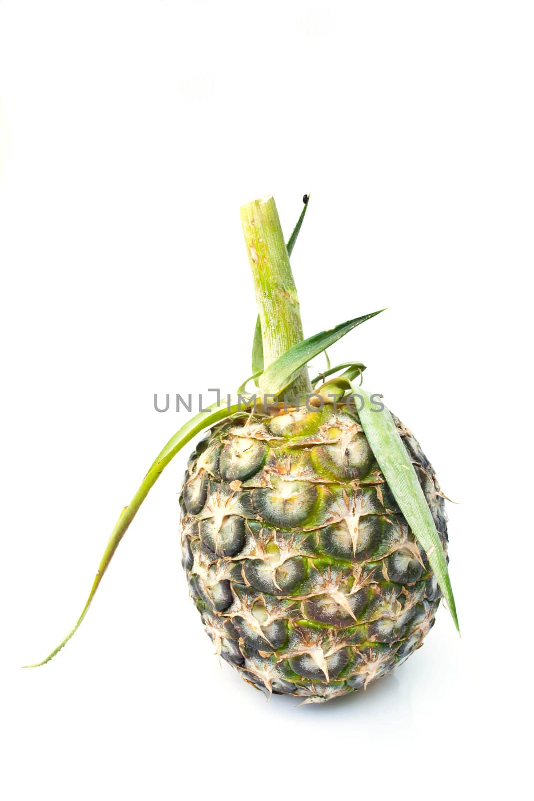 Pineapple on a white background