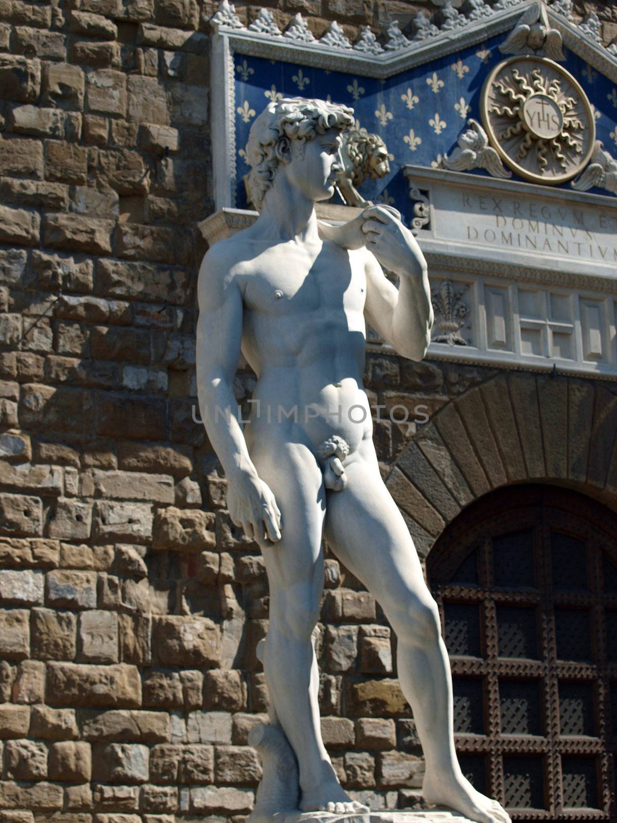 Florence - The statue of David by Michelangelo in Piazza Signori