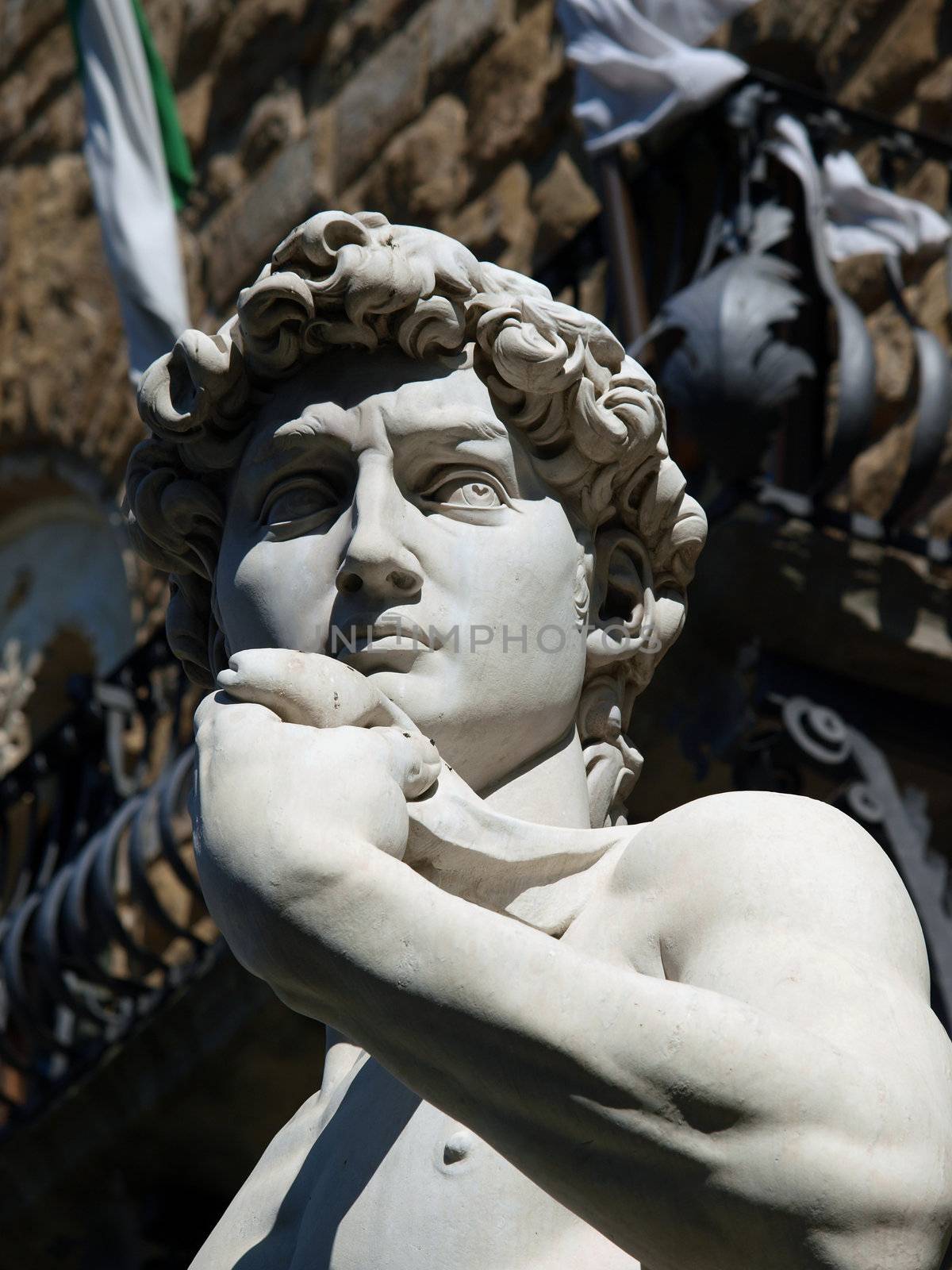 Florence - The statue of David by Michelangelo in Piazza Signori
