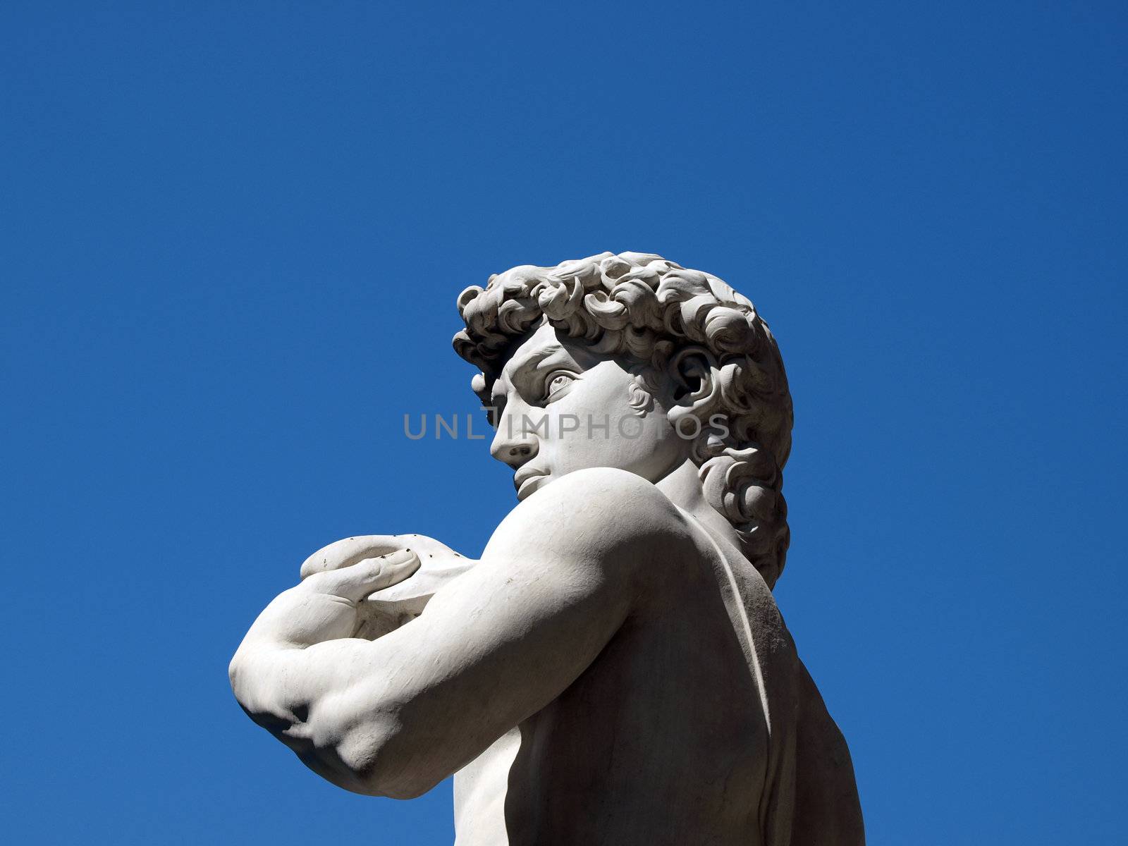 Florence - The statue of David by Michelangelo in Piazza Signori