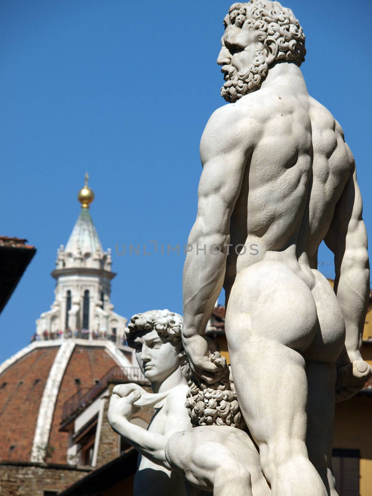 Florence - Hercules and Cacus by Bandinelli and David by Michelangelo in Piazza Signori