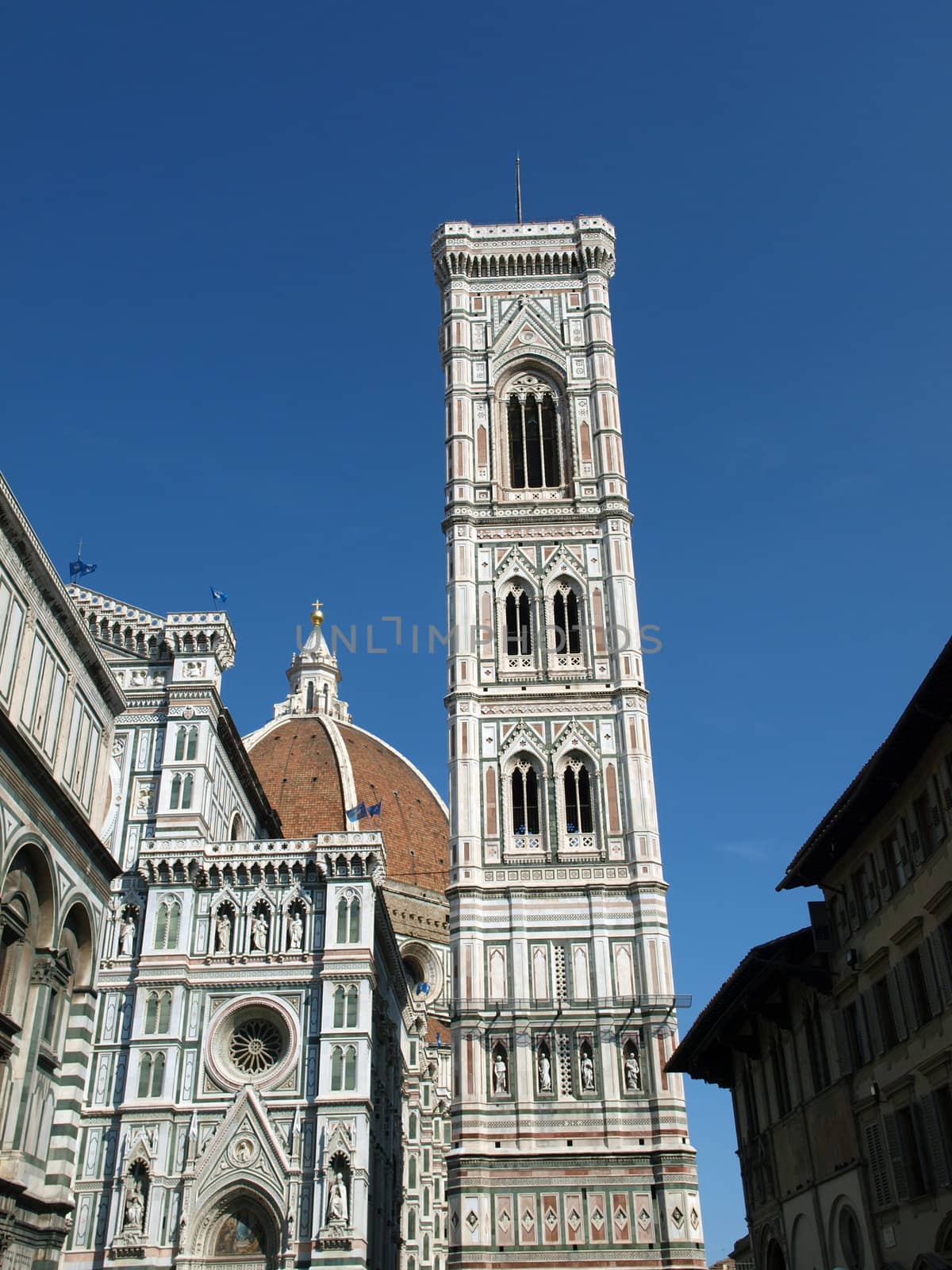View of the Giotto's bell tower and Duomo - Florence
