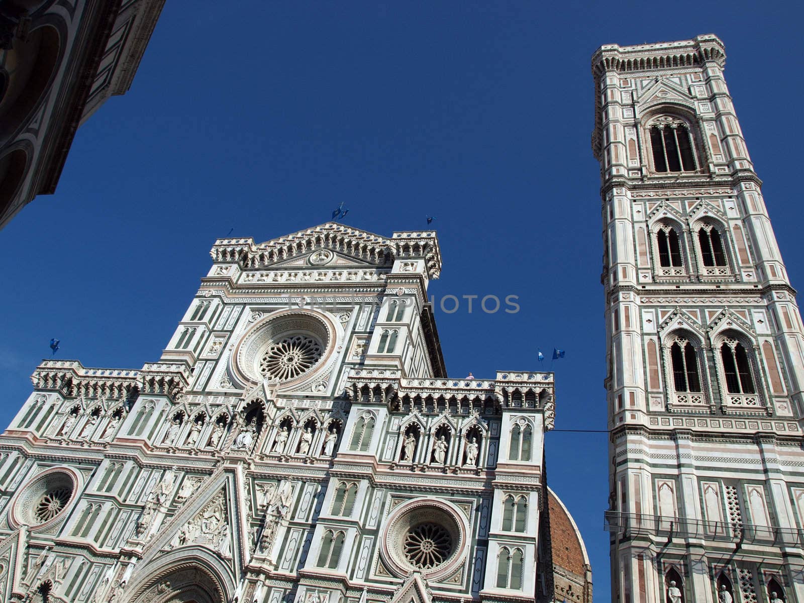 View of the Giotto's bell tower and Duomo - Florence