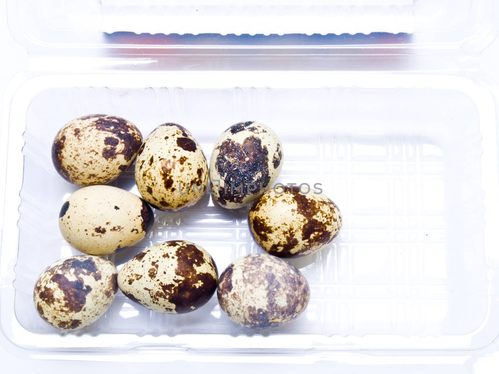 Quail eggs in plastic tray isolated on white background